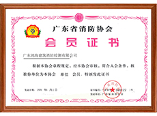 鸿海-广东省消防协会会员证书